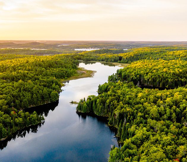 Aerial-shot-of-forestry-and-lake-small