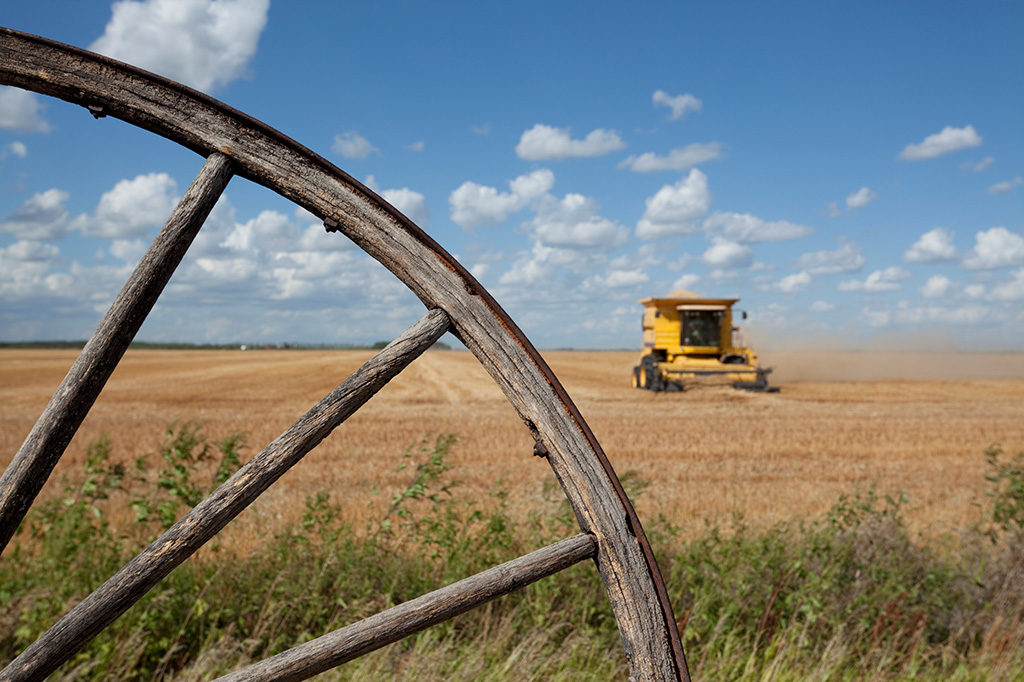 Brandon Traceability